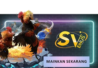 Sabung Ayam